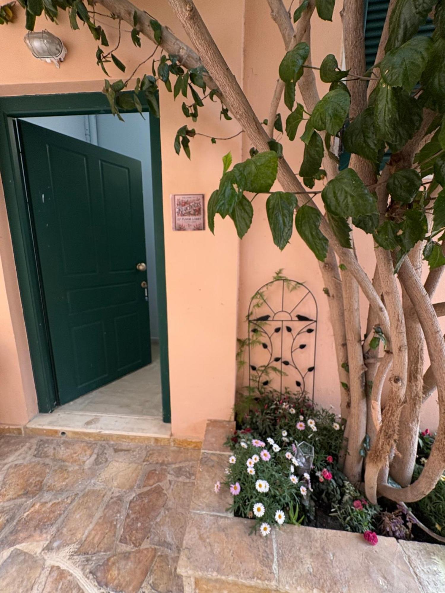 Rouchotas Studios By Viktor 1Rst Floor Argostoli  Esterno foto
